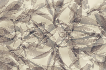 Young leaves in the water. Sepia. Art. Leaves pattern. Fresh background.