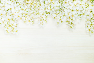 Branches of bird cherry on a light wooden board. Border. Copy space. Floral background. Wooden background. Texture.