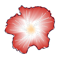 Red hibiscus flower vector illustration EPS8