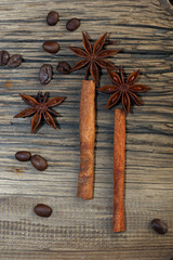 Fototapeta premium cinnamon and star anise