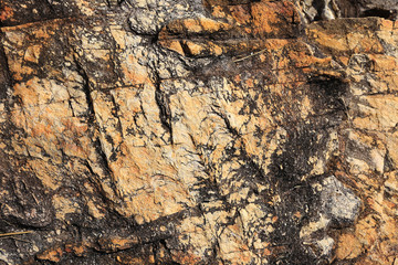 rocks