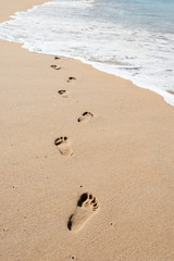Fototapeta na wymiar Footprints in wet sand of beach
