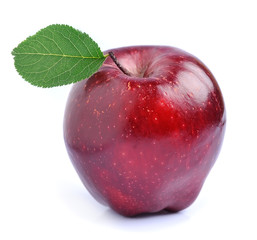 Single ripe apples fruit