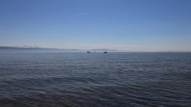 Fischer auf dem Bodensee