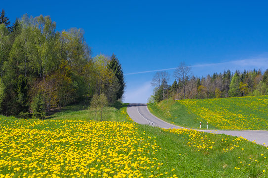 Sprin in Lithuania