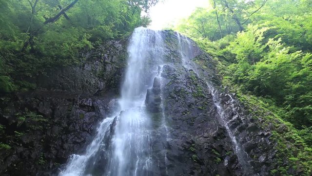 滝と新緑（愛媛県白猪の滝）／フィックス