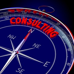 3D compass - Consulting