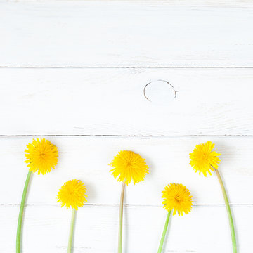 dandelions on wooden white background flat lay