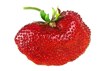 Garden strawberry isolated on white background