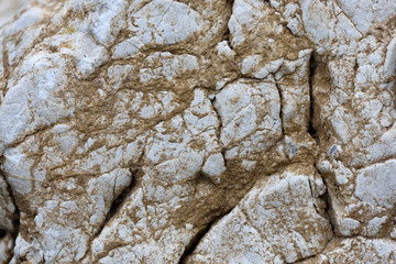 White rock surface texture with mud closeup abstract background