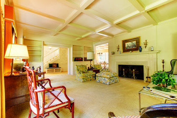 Excellent living room with decorative rug, furniture and a fireplace.