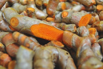 Kurkuma, Gelbwurz (curcuma longa)