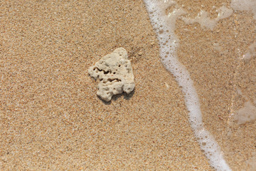 Fototapeta na wymiar Yellow sand beach and a fish shaped stone