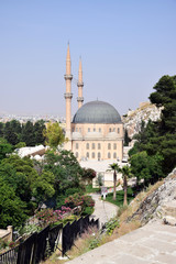 Naklejka premium cami