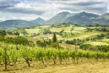 Fototapeta na wymiar nice view in Italy Marche near Camerino