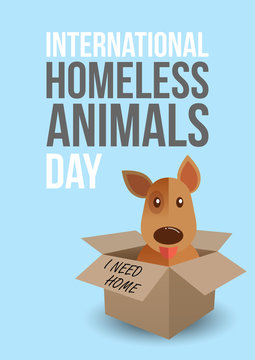 International homeless animals day. Cute dog in a box whith I Need Home text. Pets adoption concept. Flyer, poster template. Vector illustration