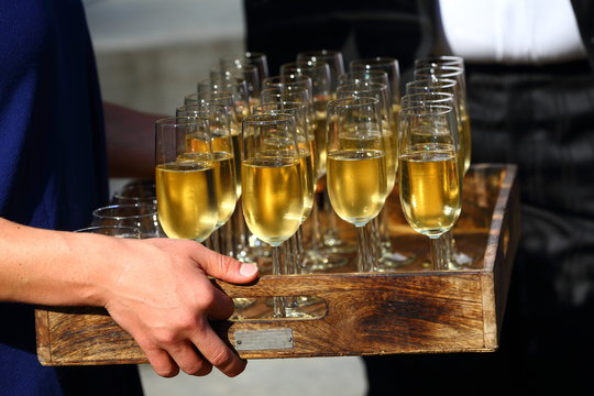champagne/ tray of glasses filled with champagne