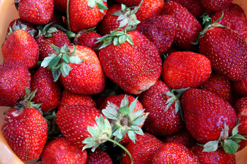 Scattering of dark red strawberry