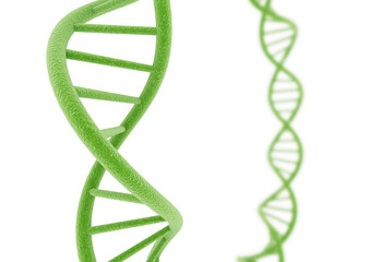 Green DNA.