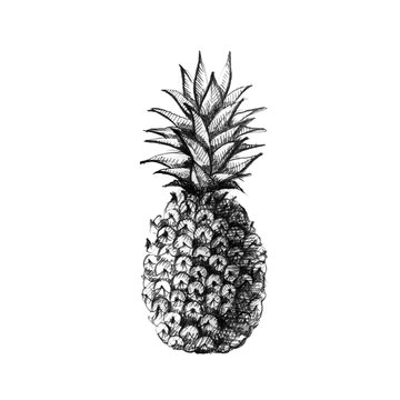 Hand drawn pineapple
