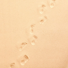 Fototapeta na wymiar Line of footprints walking through beach sand