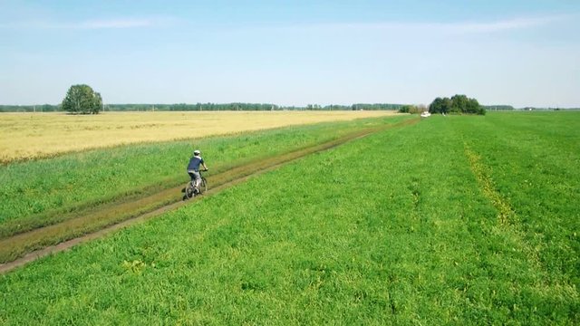 AERIAL: Young man cycling on bicycle at rural road through green and yellow summer meadow field. During sunny day.
