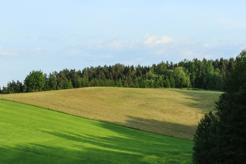 Fields and forests, Sunlight and shadow