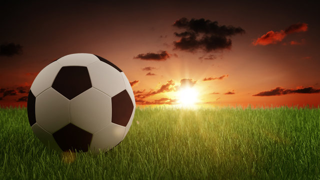 Soccer Ball on Green Grass with Bright Sunlight