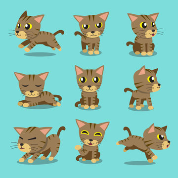 Cartoon character brown tabby cat poses