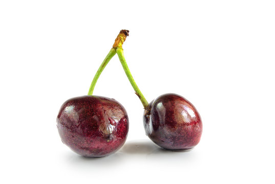 Two sweet cherries on a stalk