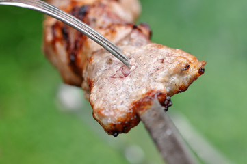 Barbecue Beef Kebabs And Fork, Macro