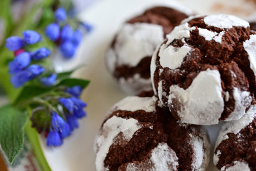chocolate cakes in powdered sugar