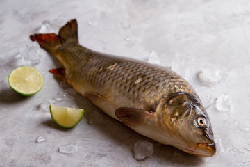 Delicious fresh fish (carp)