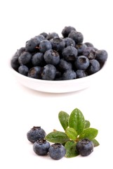Blueberries isolated on white background. Blueberries in bowl.