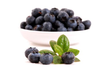 Blueberries isolated on white background. Blueberries in bowl.