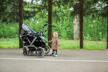 Baby in sitting stroller on nature