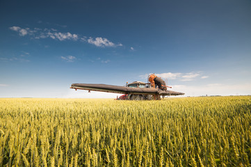 Naklejka premium Tractor spraying wheat field