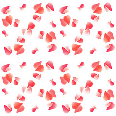 Flying Pink and Red petals. Seamless Pattern on White color background. Vector