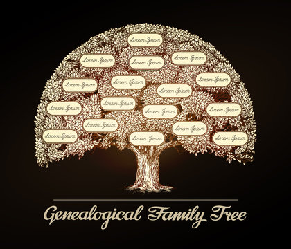 Family Tree In Vintage Style. Genealogy, Pedigree, Dynasty