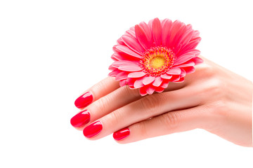 Piękna dłoń z kwiatkiem