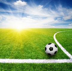 Fototapeta premium soccer ball on the grass