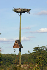 Nest boxes on pole
