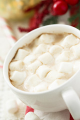 Fototapeta na wymiar Hot chocolate with marshmallow