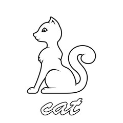 Cat on white background