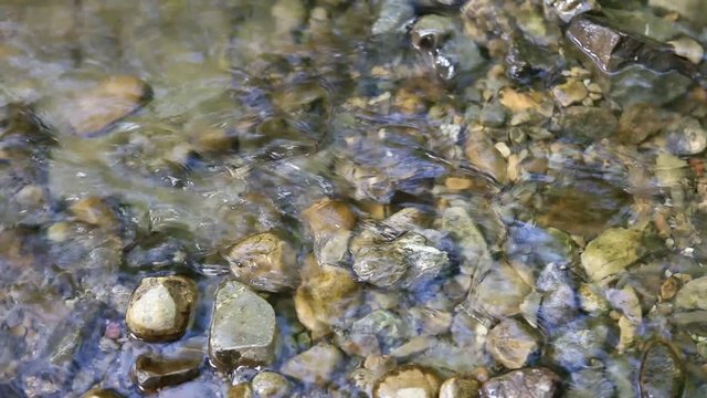 Goldsuche im Wildbach