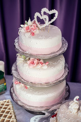 Pink and White Wedding Cake with Roses