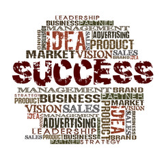Obraz premium Success Word Cloud Concept Different Words on white background 