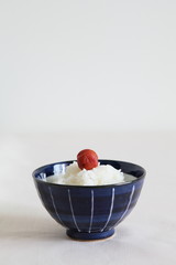 Japanese Traditional Food - Rice with pickled plum UMEBOSHI