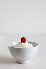 Japanese Traditional Food - Rice with pickled plum UMEBOSHI