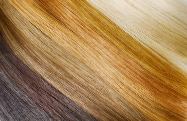 Premium hair extension palette with color samples from blonde to